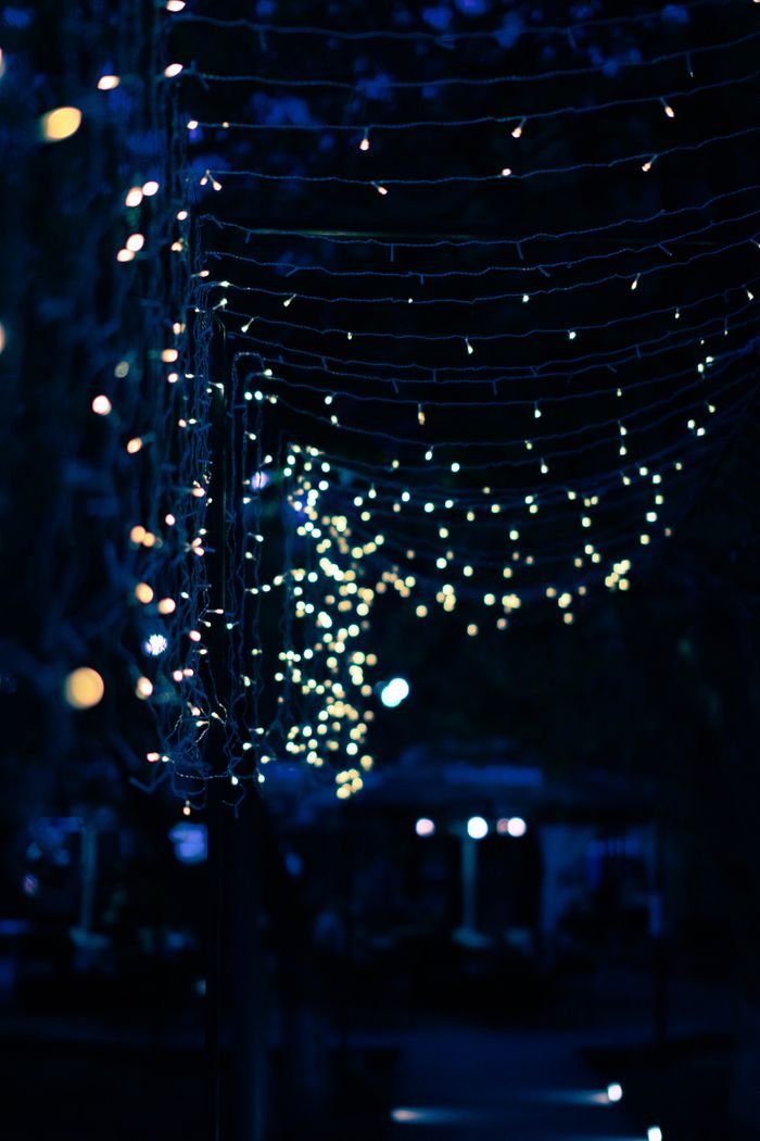 Captivating string lights illuminate the night, creating a festive and enchanting outdoor atmosphere.